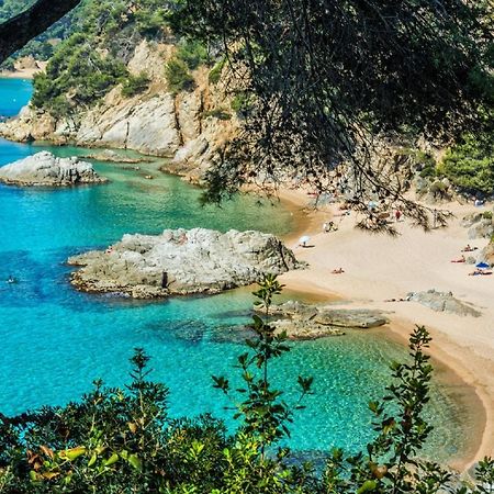 Al11 Apartamento Albert Lloret de Mar Eksteriør billede